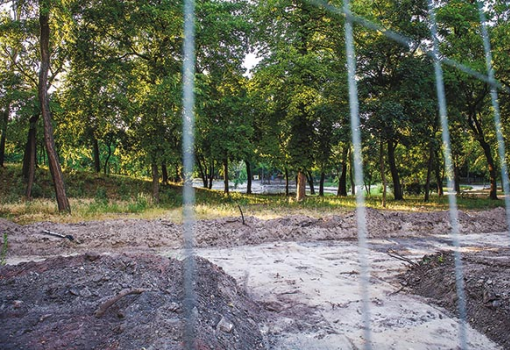 <h1>Az Orczy-kertből is sok fa tűnik el - Fotó: Draskovics Ádám</h1>-