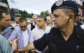 Orbán sokkol, Németh tapló