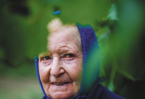<h1>Juci néni – hatvan éve a szőlőben. Szüreten jártunk Szigetcsépen - Fotó: Draskovics Ádám</h1>-