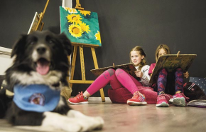 Szabadság a tetőtérből -  Dizájntáskákból ösztöndíj - A kutya is segít rajzolni