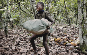 Gyermekmunka ée embertelen körülmények - eljárások egy világcég ügyeiben