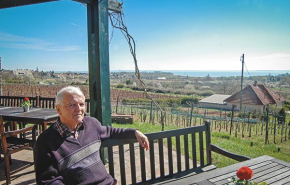 Veszhet a szőlő – Ingatlanos héják köröznek a Balaton-felvidék lankái fölött