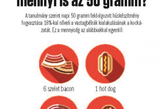 <h1>Tulajdonképpen mennyi is az 50 gramm? - A tanulmány szerint napi 50 gramm feldolgozott húskészítmény fogyasztása 18%-kal növeli a vastagbélrák kialakulásának a kockázatát. -
Ez a mennyiség az alábbiakkal egyenlő:</h1>-