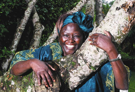 <h1>Wangari Muta Maathai kenyai környezetvédő 2004-ben kapta meg a Nobel-békedíjat</h1>-