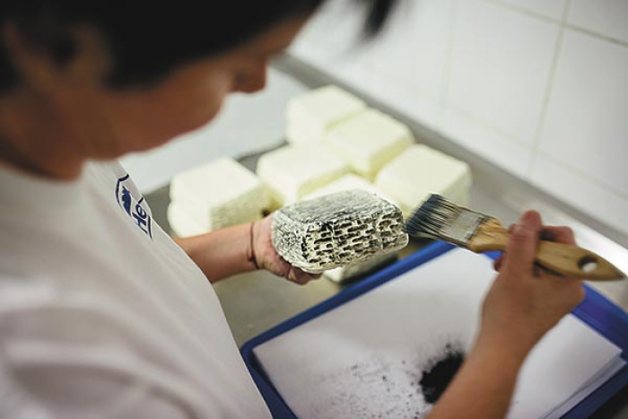 Szénporral kezelik a sajtot. Sándor Tamás sajtmanufaktúrájában - Fotó: Mudra László &mdash;  