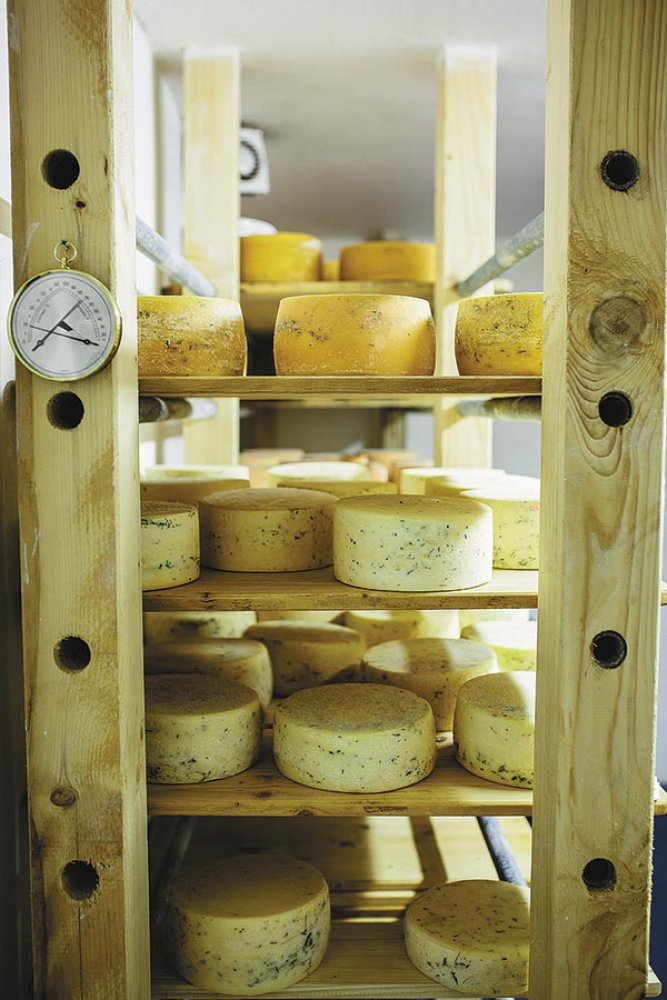 Sándor Tamás sajtmanufaktúrájában - Fotó: Mudra László &mdash;  